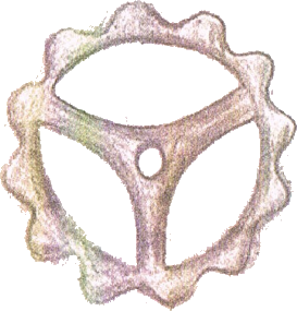 The Watch Story - Peter Avins